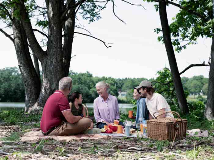 A family is picnicking in a meadow