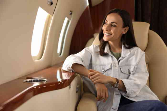 a woman on a plane