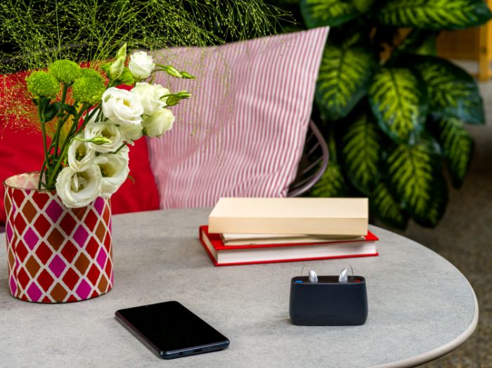 Mini hearing aids in a charging case